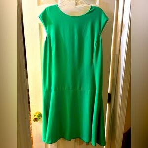 Lauren Ralph Lauren Drop Waist ruffle sleeveless green screen dress Size 10